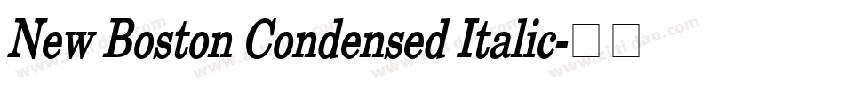New Boston Condensed Italic字体转换